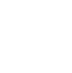 White koala icon 